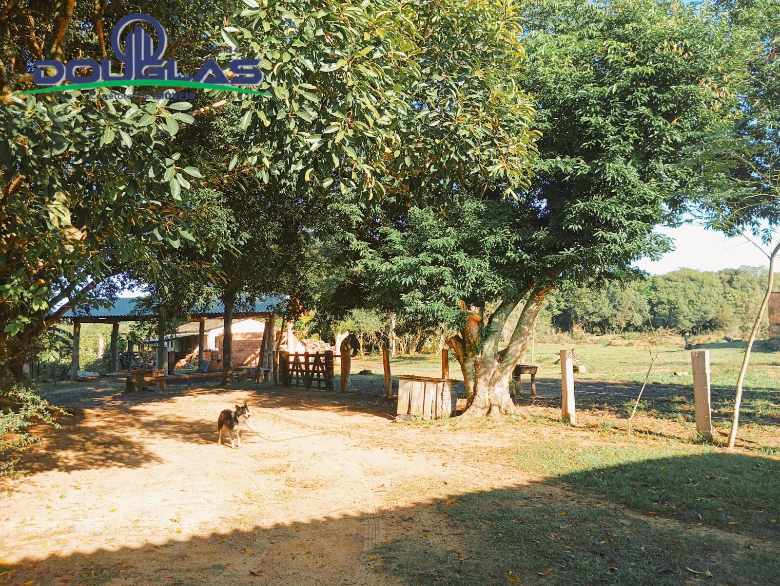 Sítio à venda com 5 quartos, 20000m² - Foto 23