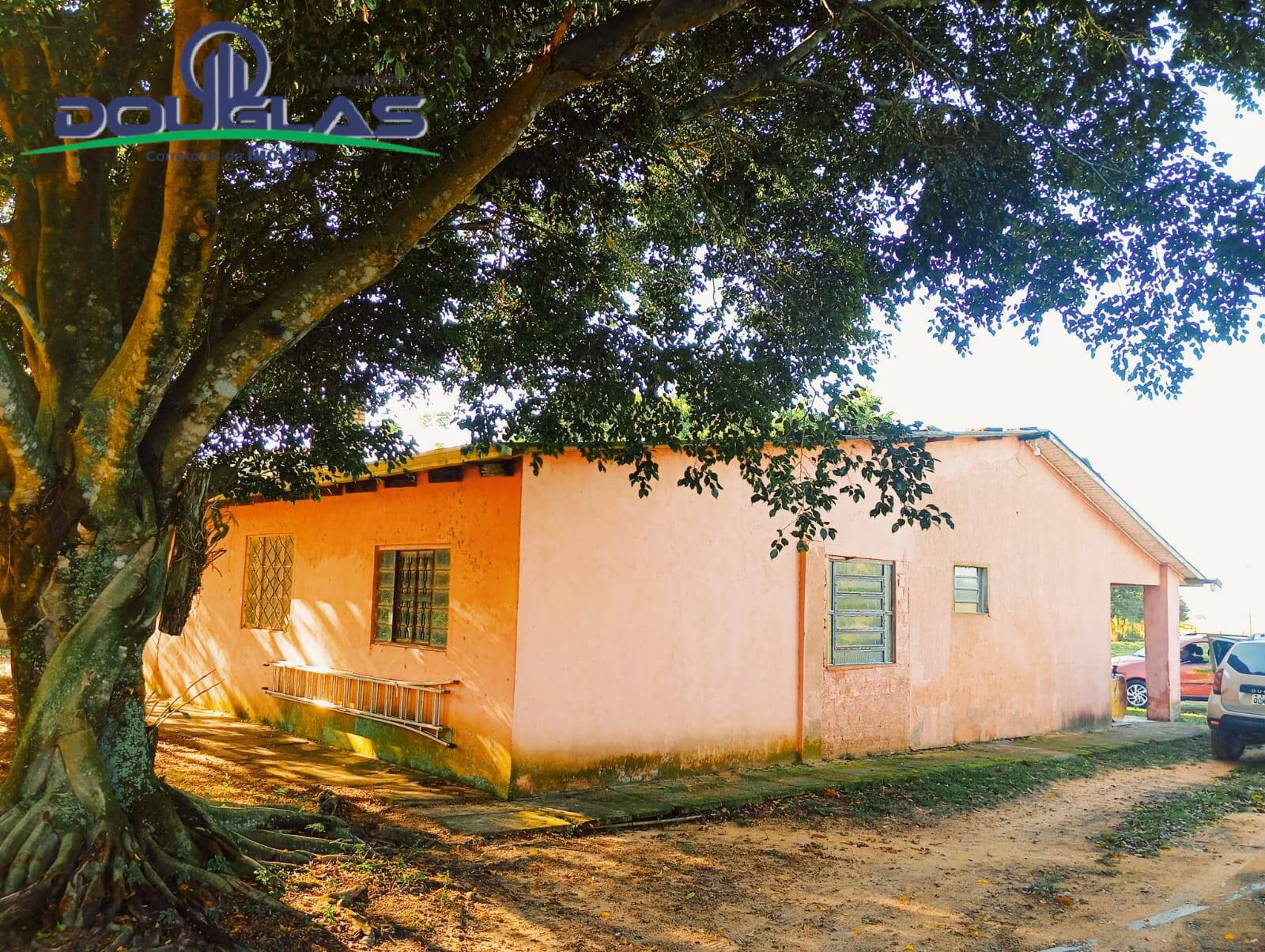 Sítio à venda com 5 quartos, 20000m² - Foto 3
