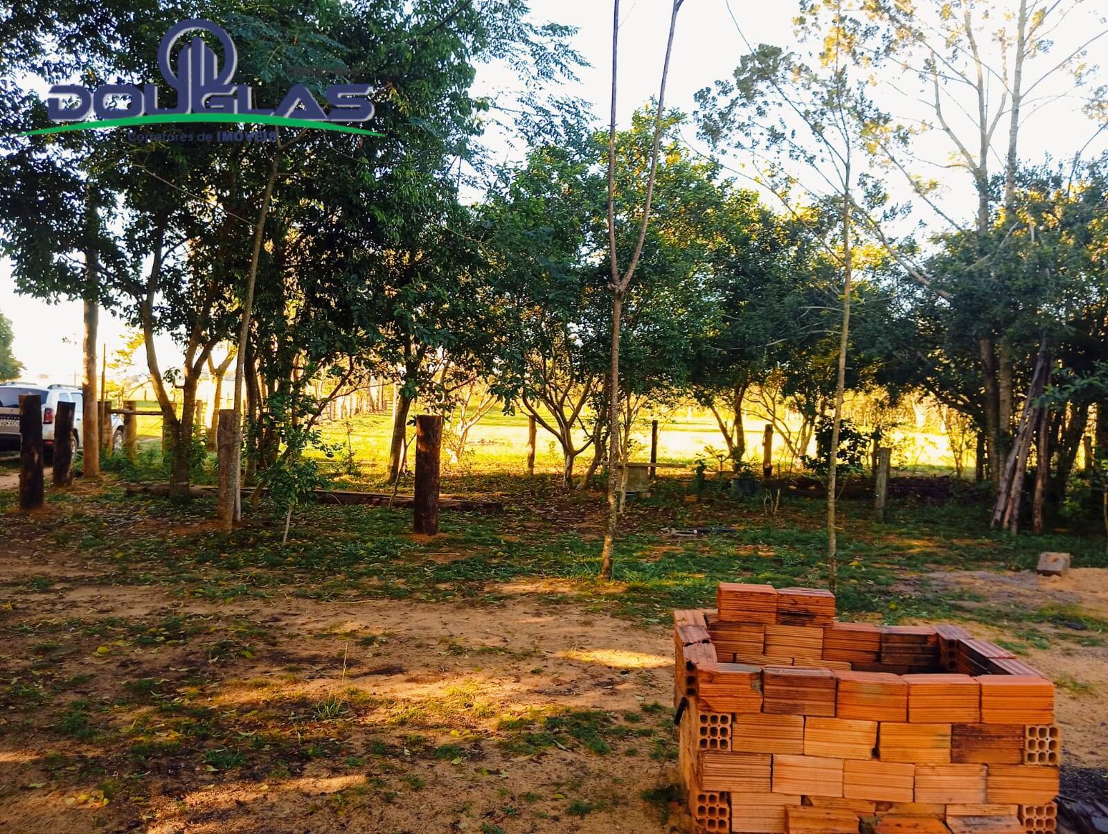 Sítio à venda com 5 quartos, 20000m² - Foto 26
