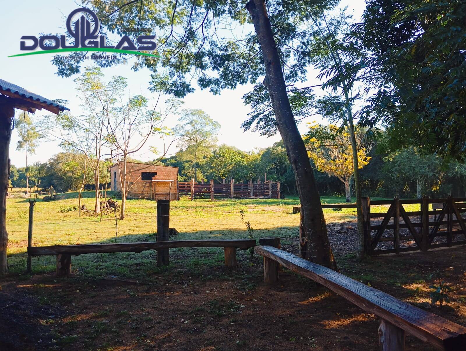 Sítio à venda com 5 quartos, 20000m² - Foto 27