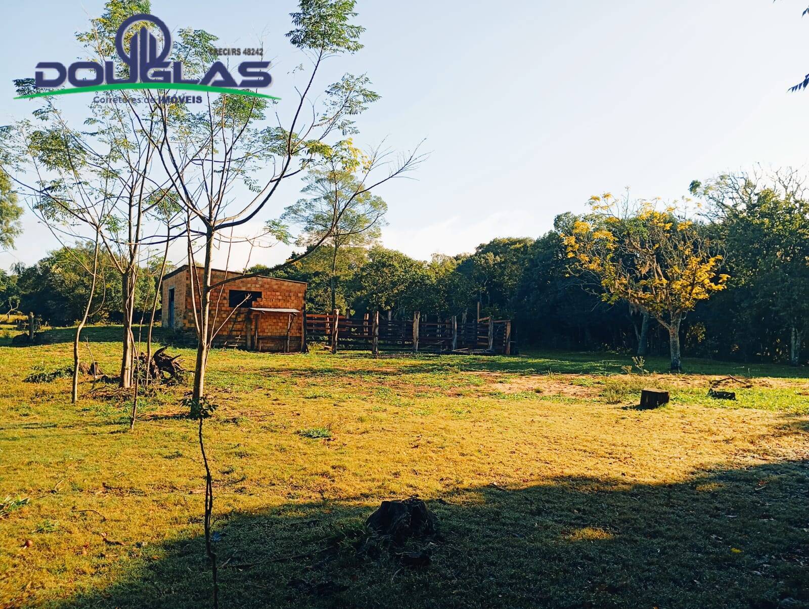 Sítio à venda com 5 quartos, 20000m² - Foto 28