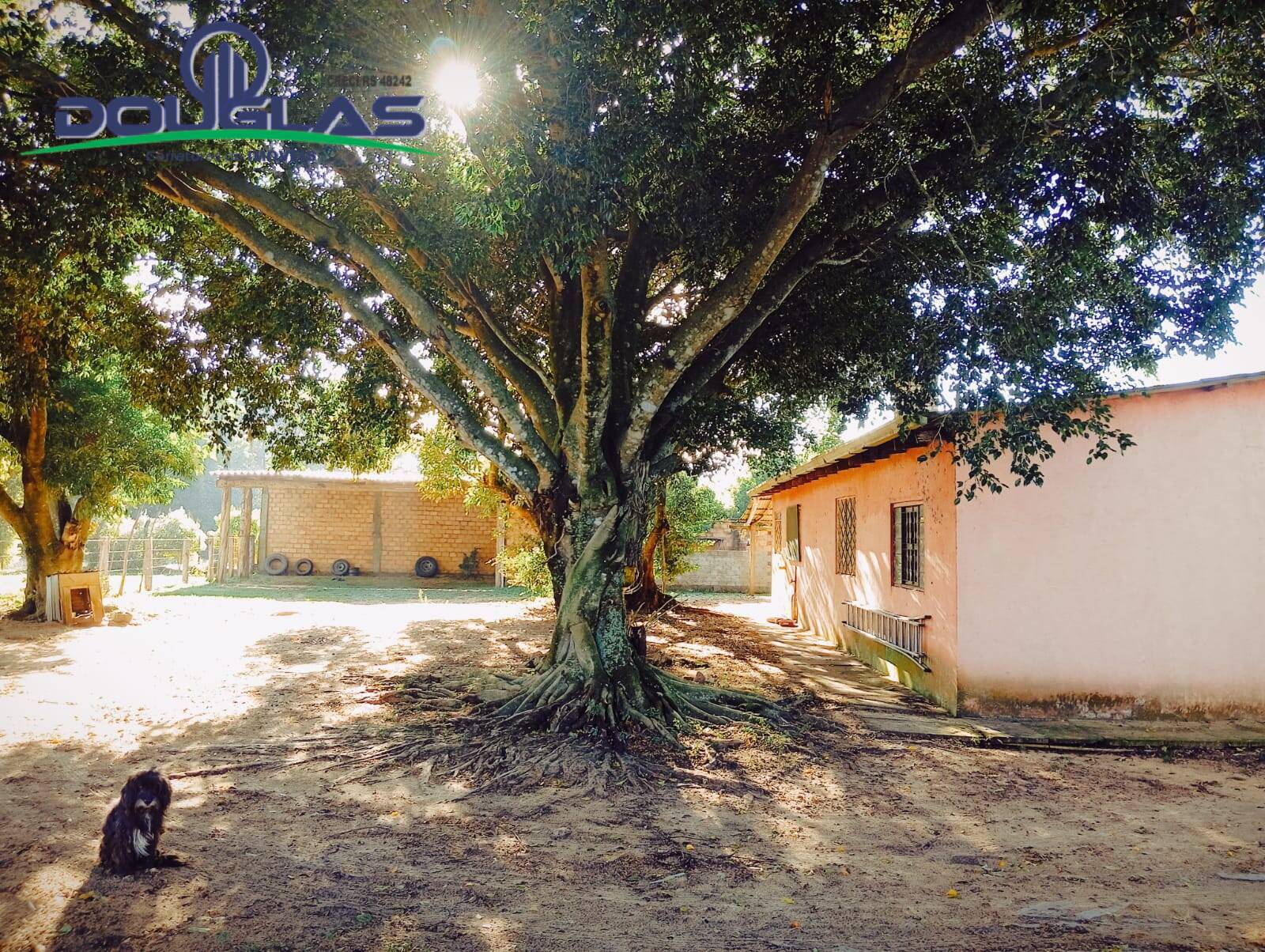 Sítio à venda com 5 quartos, 20000m² - Foto 4