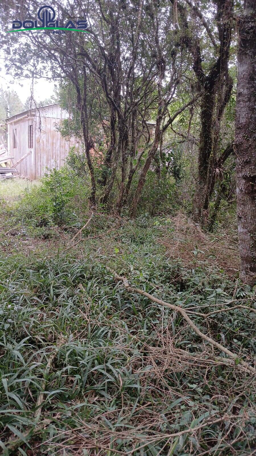 Casa, 2 quartos - Foto 11