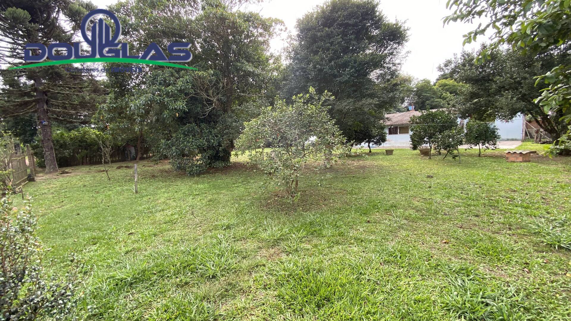 Casa, 3 quartos - Foto 19