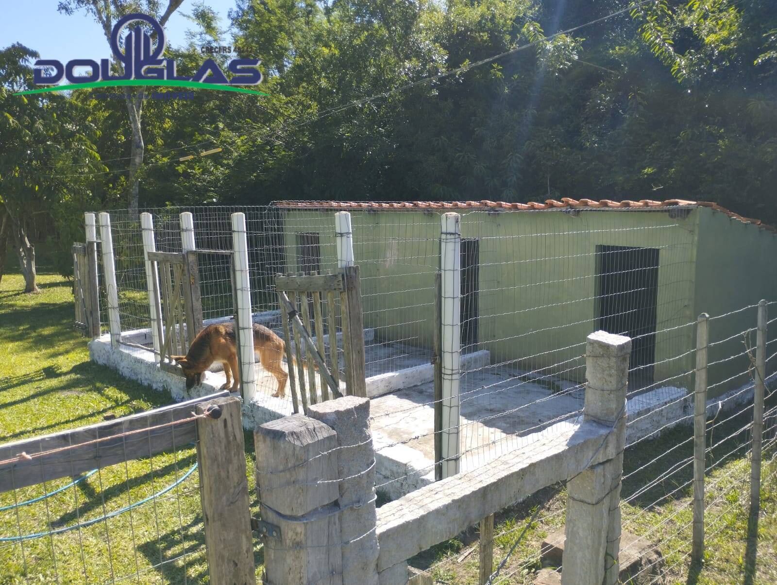 Terreno, 10000 m² - Foto 17