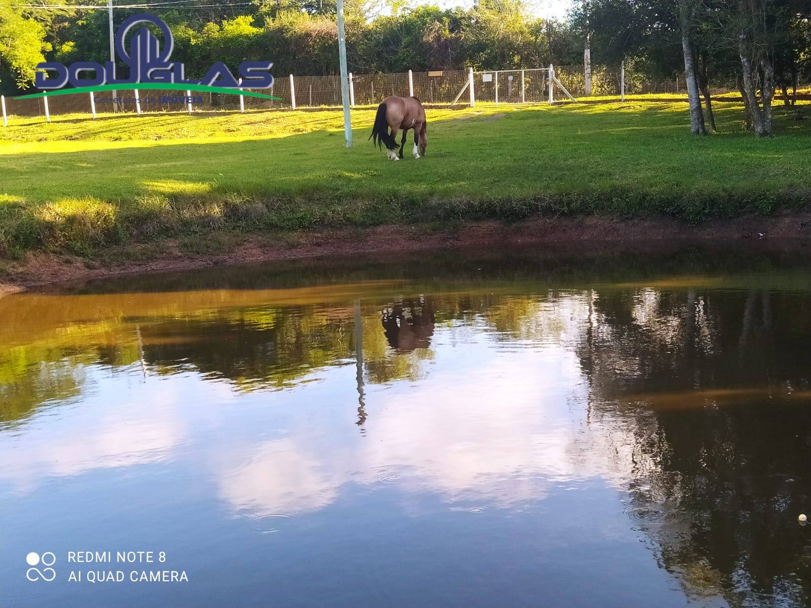 Terreno, 10000 m² - Foto 18