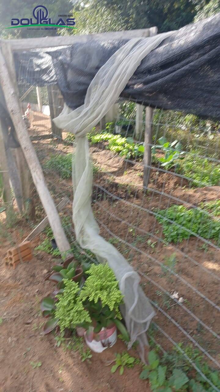 Casa, 2 quartos - Foto 12