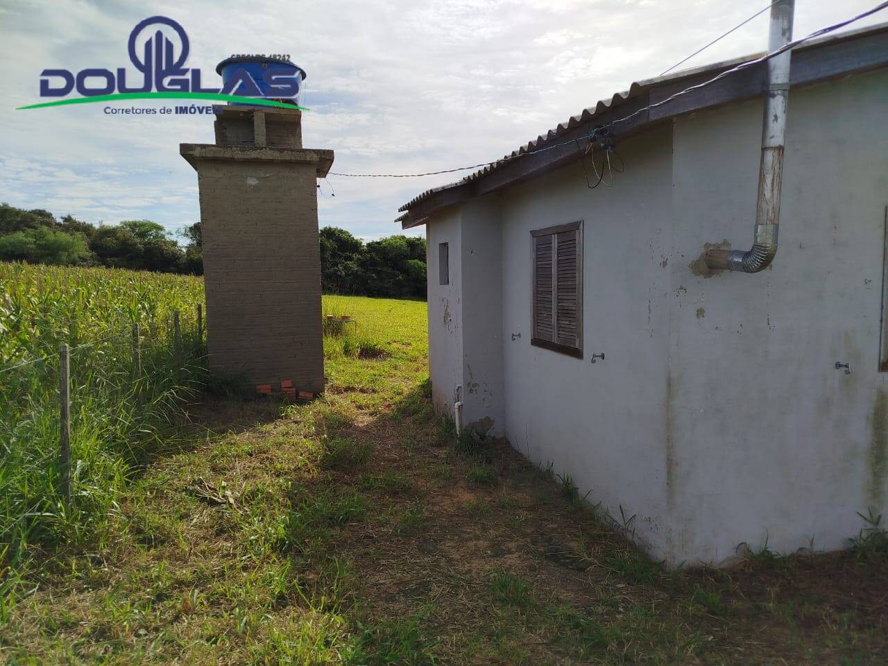 Chácara à venda com 2 quartos, 5000m² - Foto 3