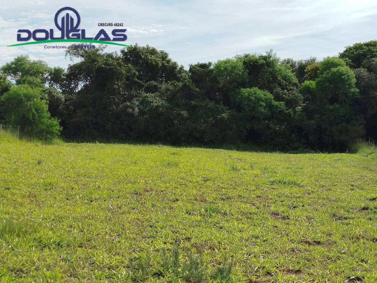 Chácara à venda com 2 quartos, 5000m² - Foto 19