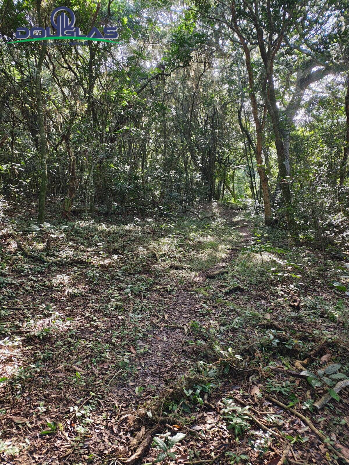 Terreno, 18 m² - Foto 22