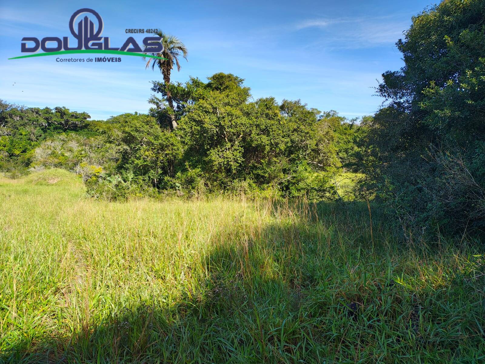 Terreno, 18 m² - Foto 7