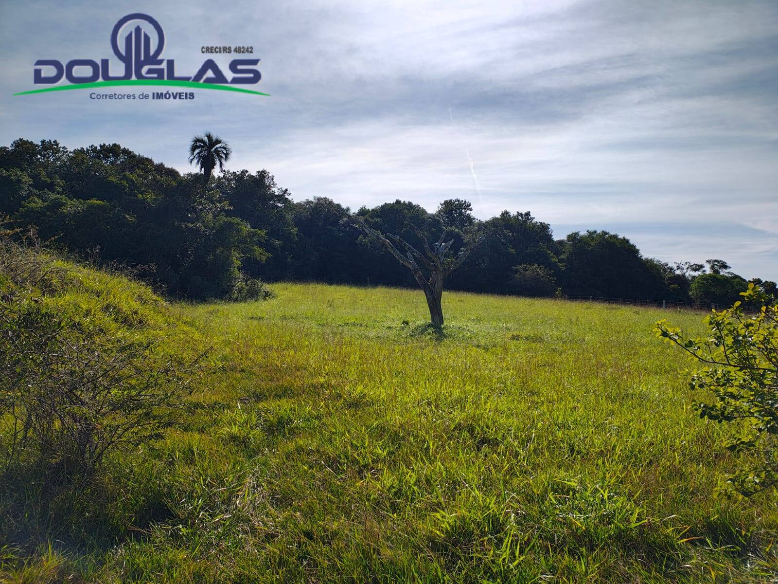 Terreno, 18 m² - Foto 9