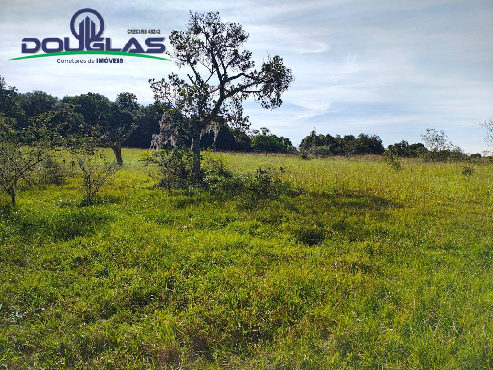 Terreno, 18 m² - Foto 18