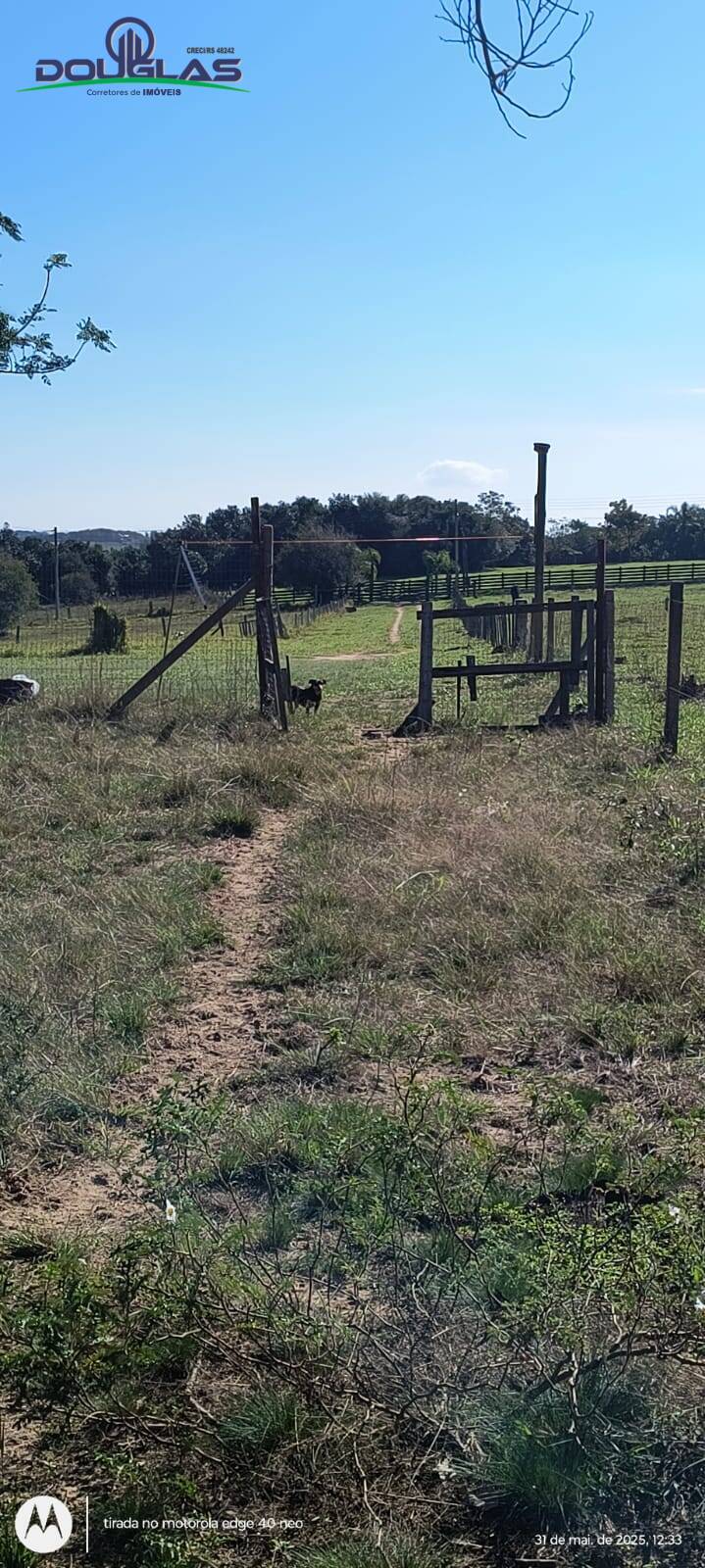 Terreno, 2 hectares - Foto 1