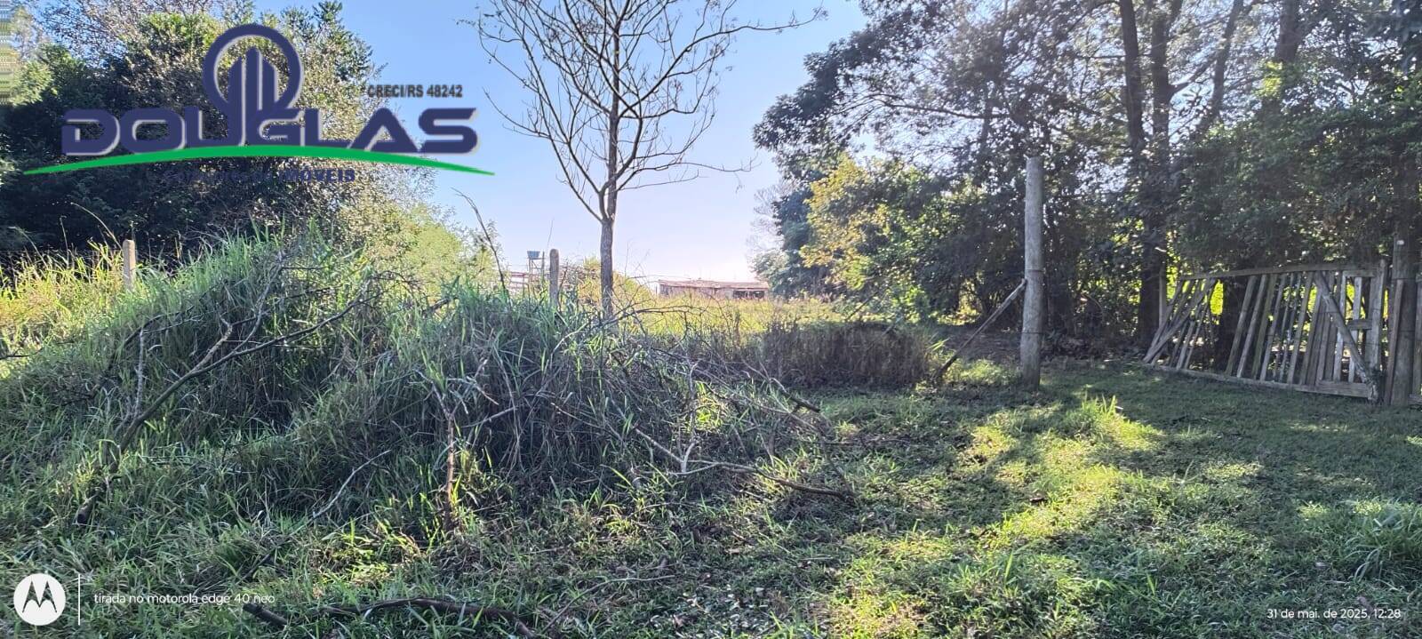 Terreno, 2 hectares - Foto 2