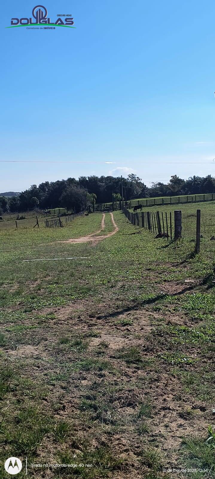 Terreno, 2 hectares - Foto 3