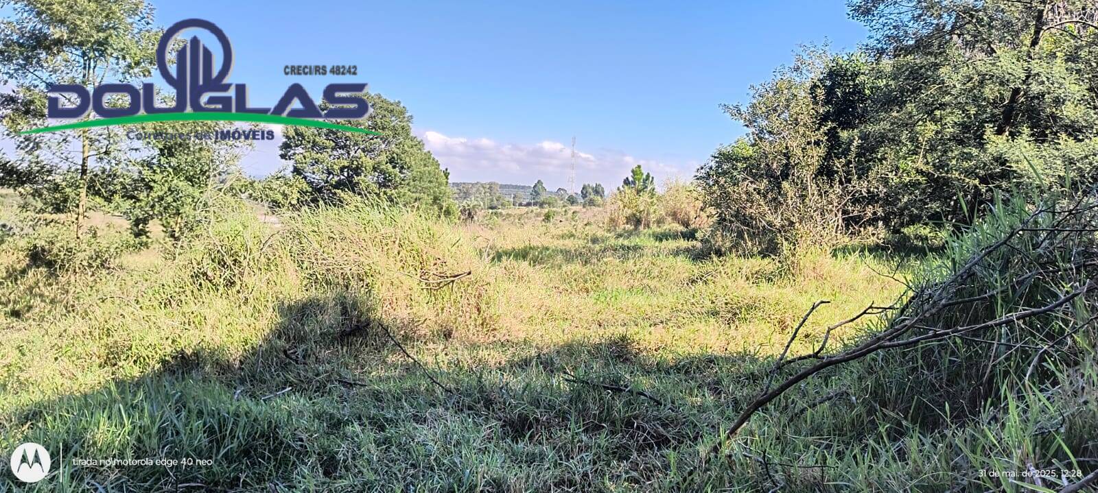 Terreno, 2 hectares - Foto 5