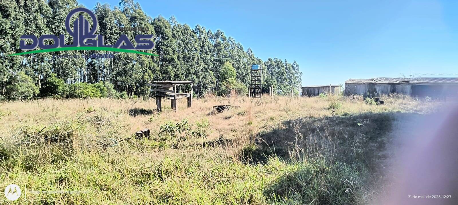 Terreno, 2 hectares - Foto 6