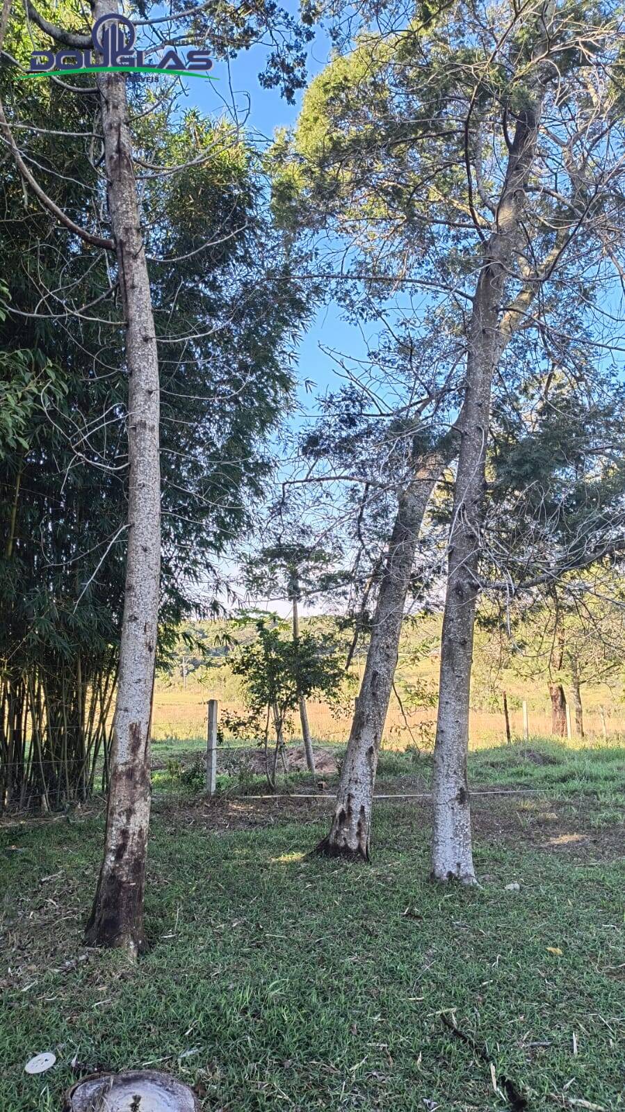 Terreno, 2 hectares - Foto 7