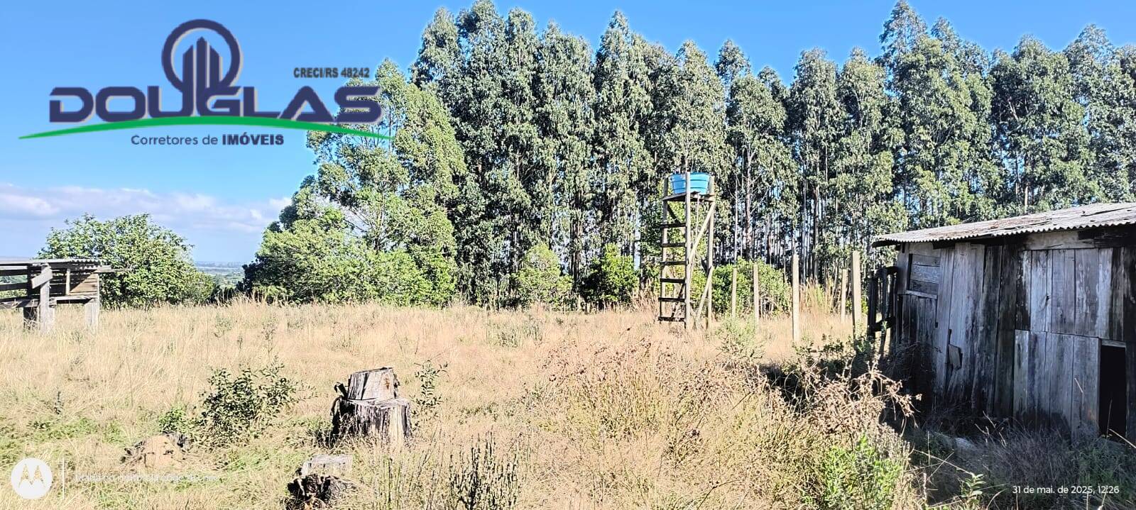 Terreno, 2 hectares - Foto 8