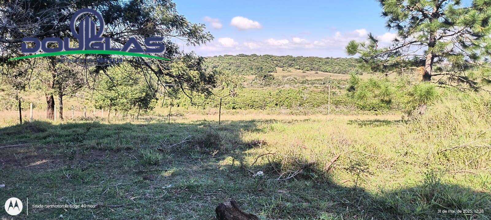 Terreno, 2 hectares - Foto 11