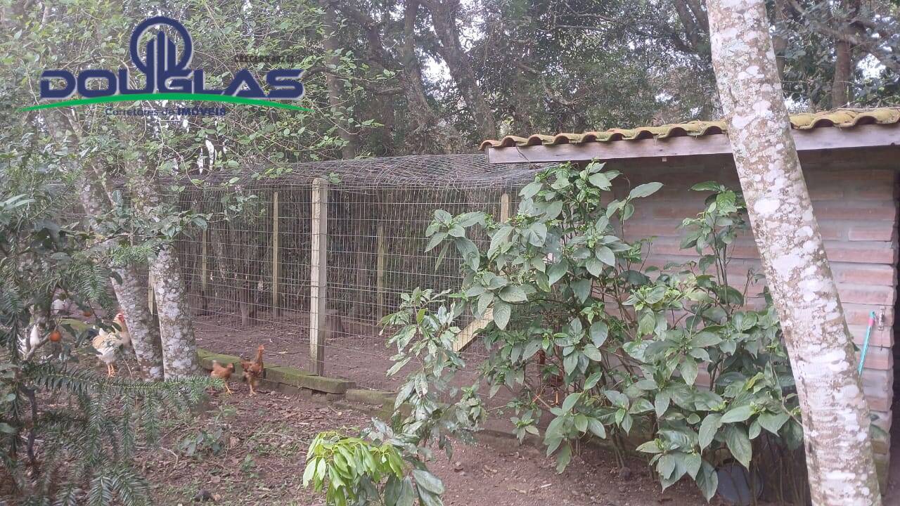 Casa, 3 quartos - Foto 17