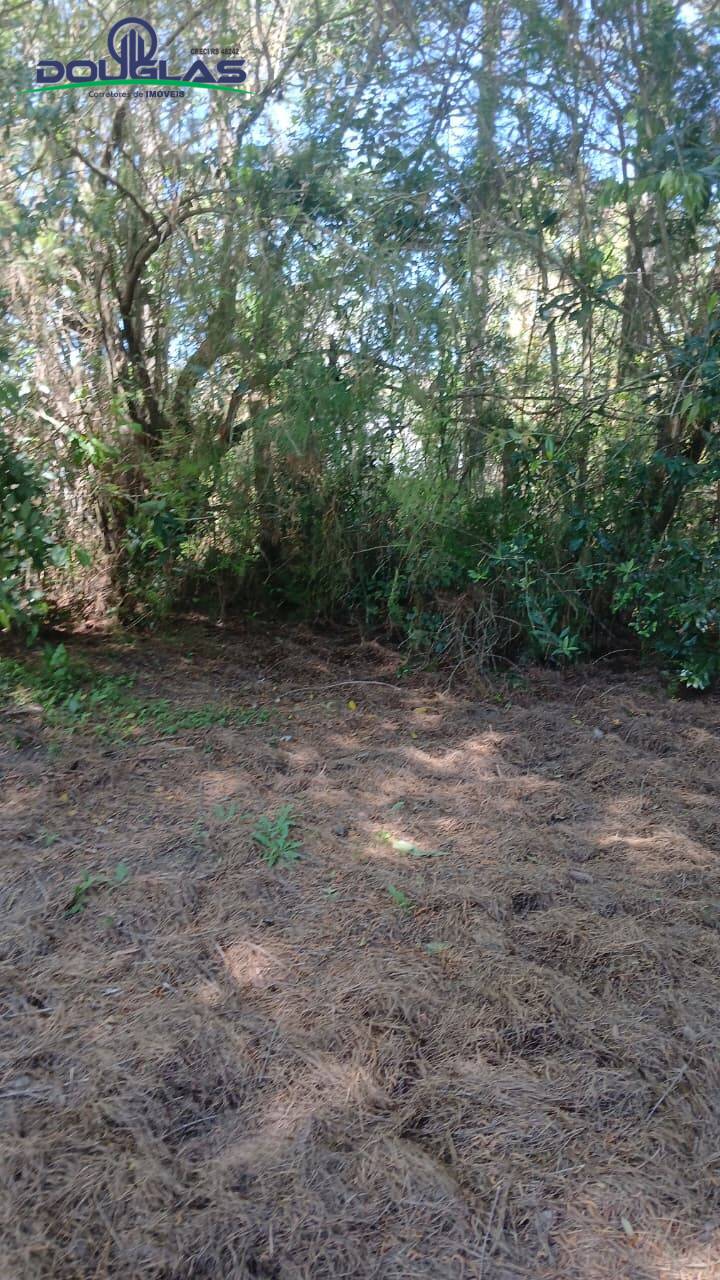 Casa, 2 quartos - Foto 22