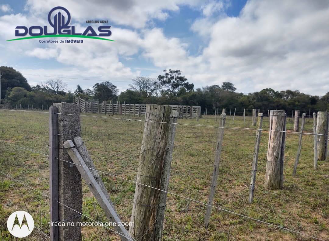 Terreno, 8 hectares - Foto 12