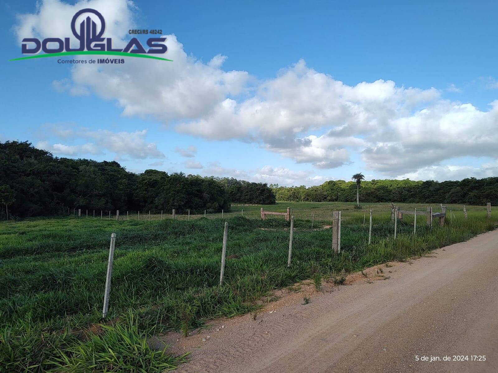 Terreno, 8 hectares - Foto 13