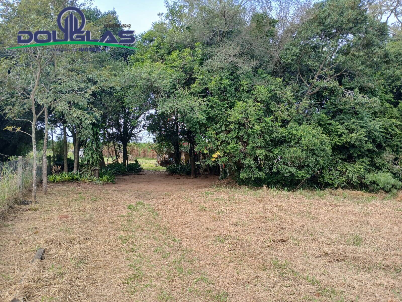 Casa, 2 quartos - Foto 10