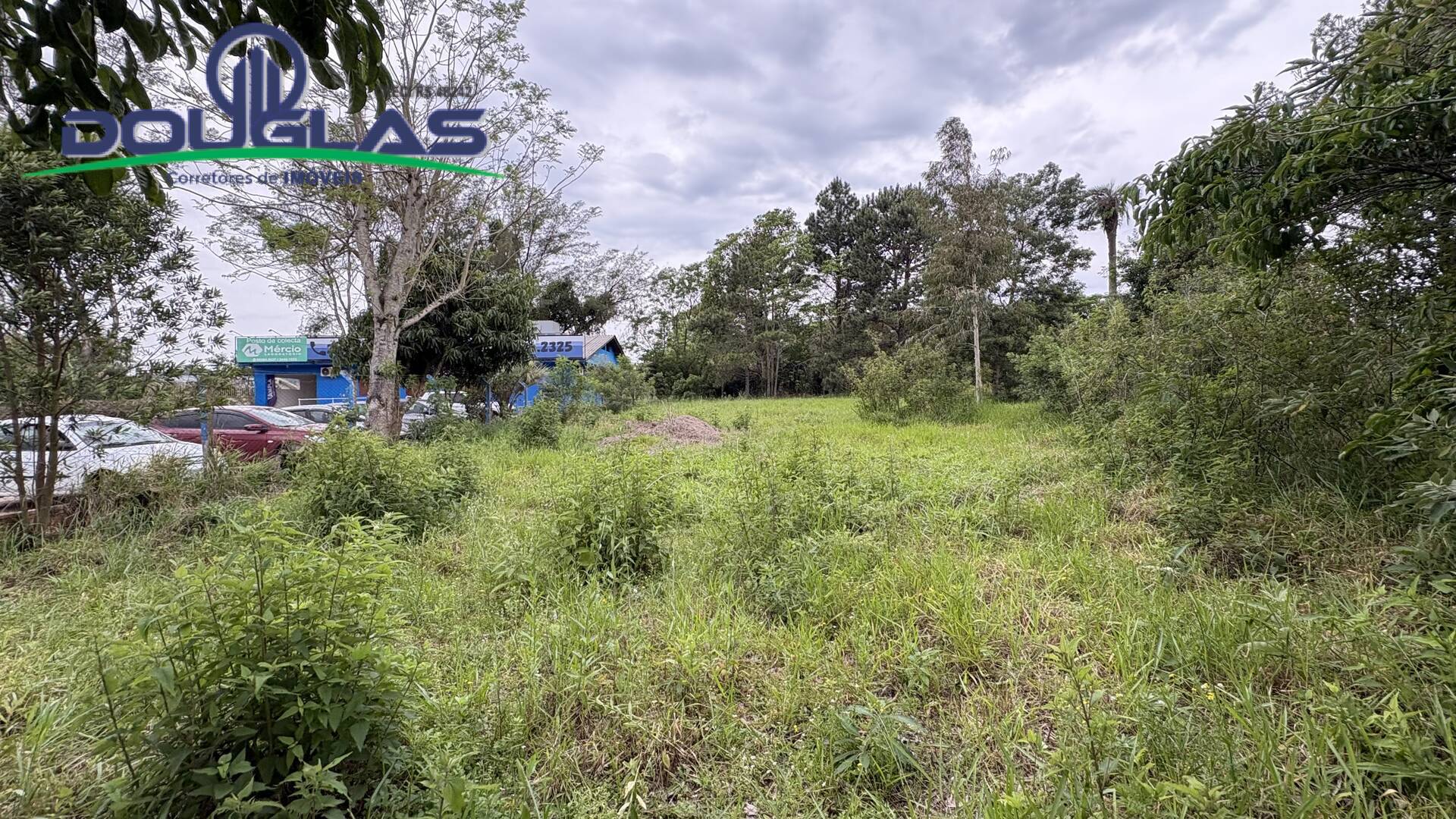 Terreno, 700 m² - Foto 5