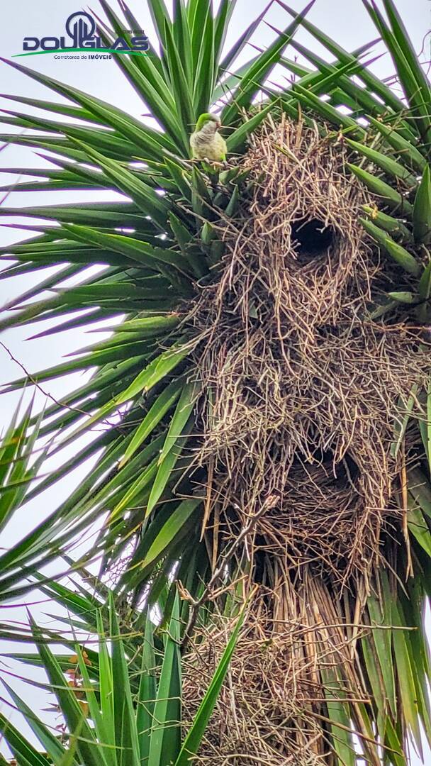 Casa, 3 quartos - Foto 22