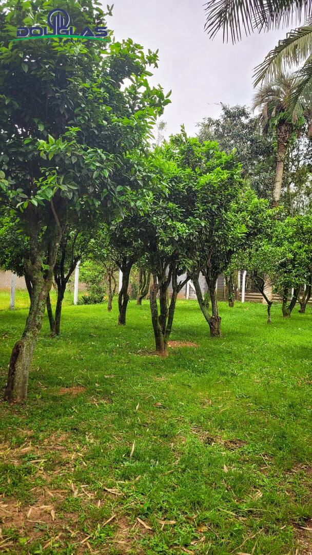 Casa, 3 quartos - Foto 35