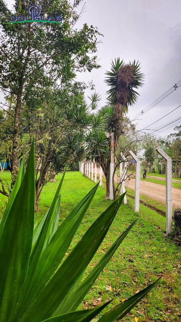 Casa, 3 quartos - Foto 51