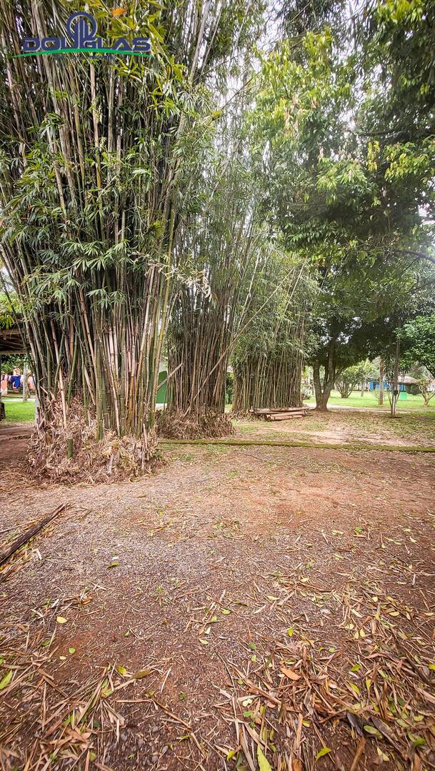 Casa, 3 quartos - Foto 53