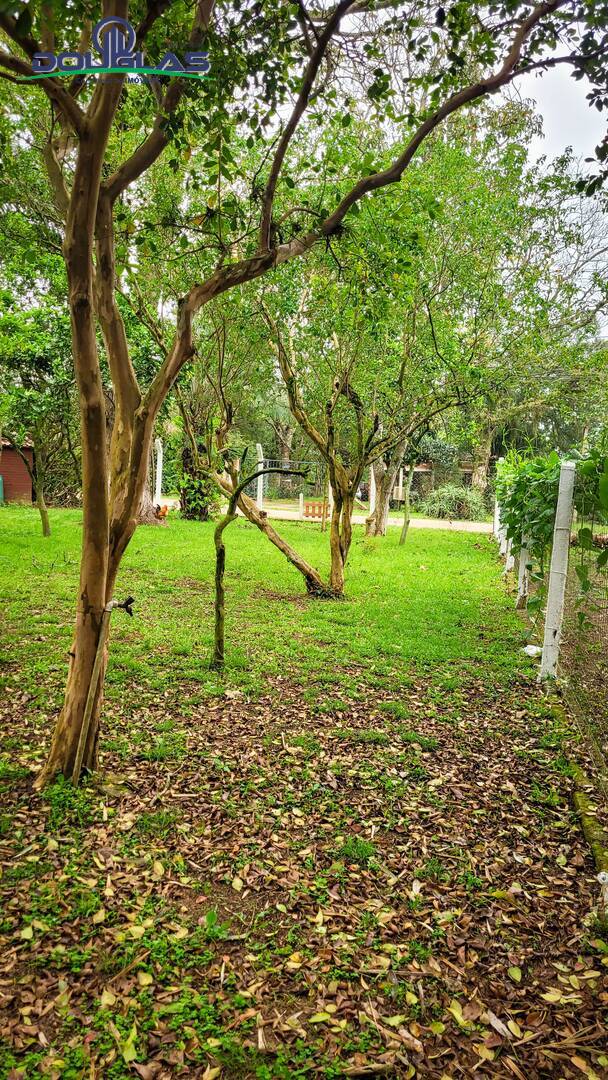 Casa, 3 quartos - Foto 56