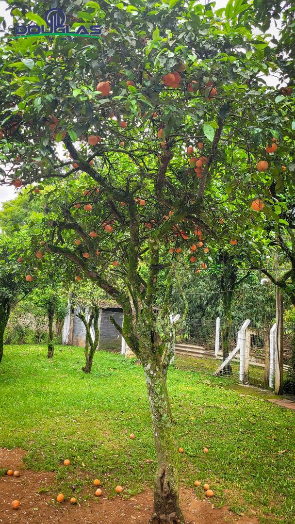 Casa, 3 quartos - Foto 67