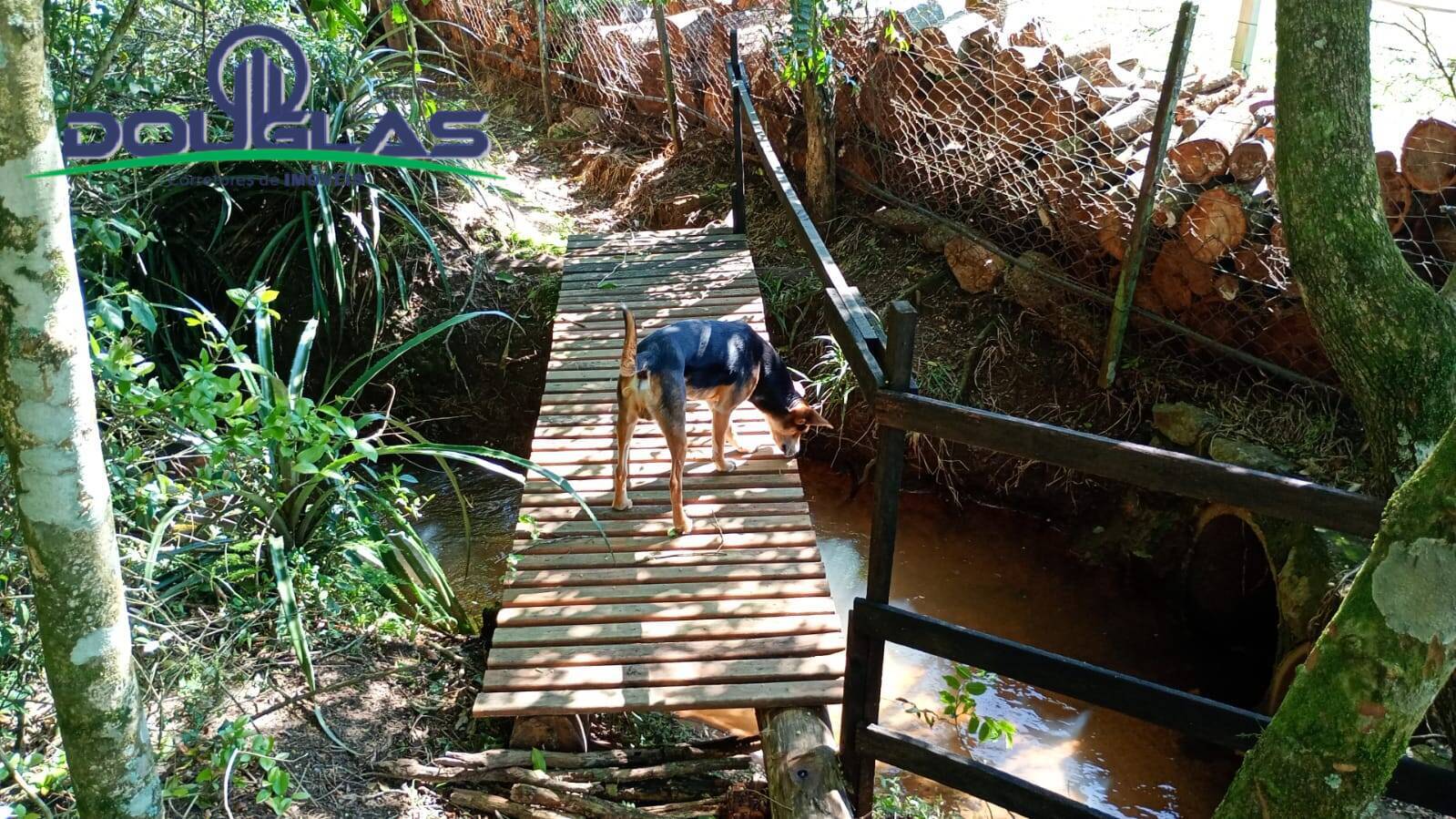 Casa, 2 quartos - Foto 12