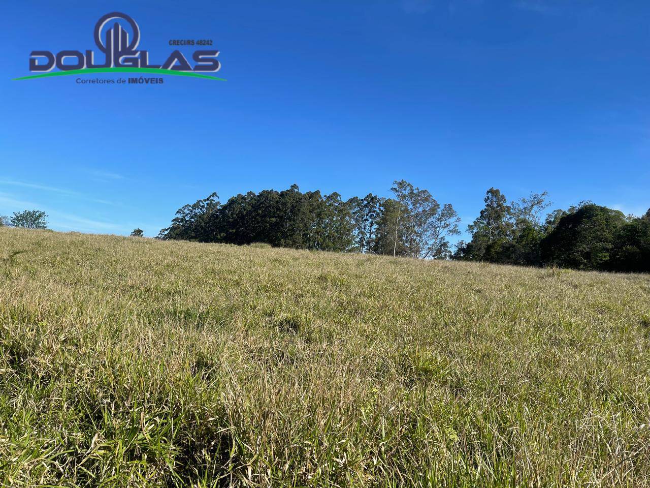 Sítio, 3 quartos - Foto 19