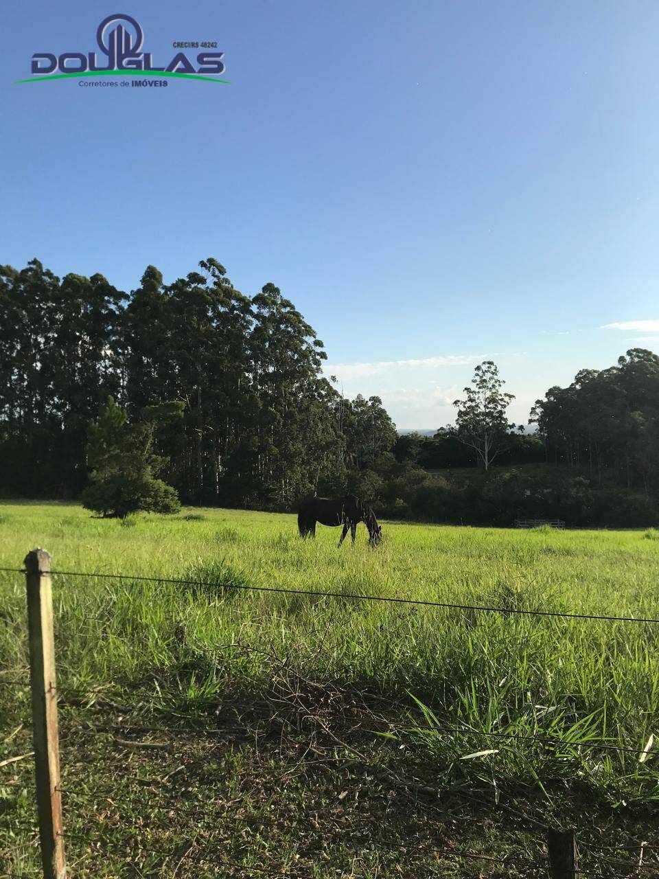 Sítio, 3 quartos - Foto 18