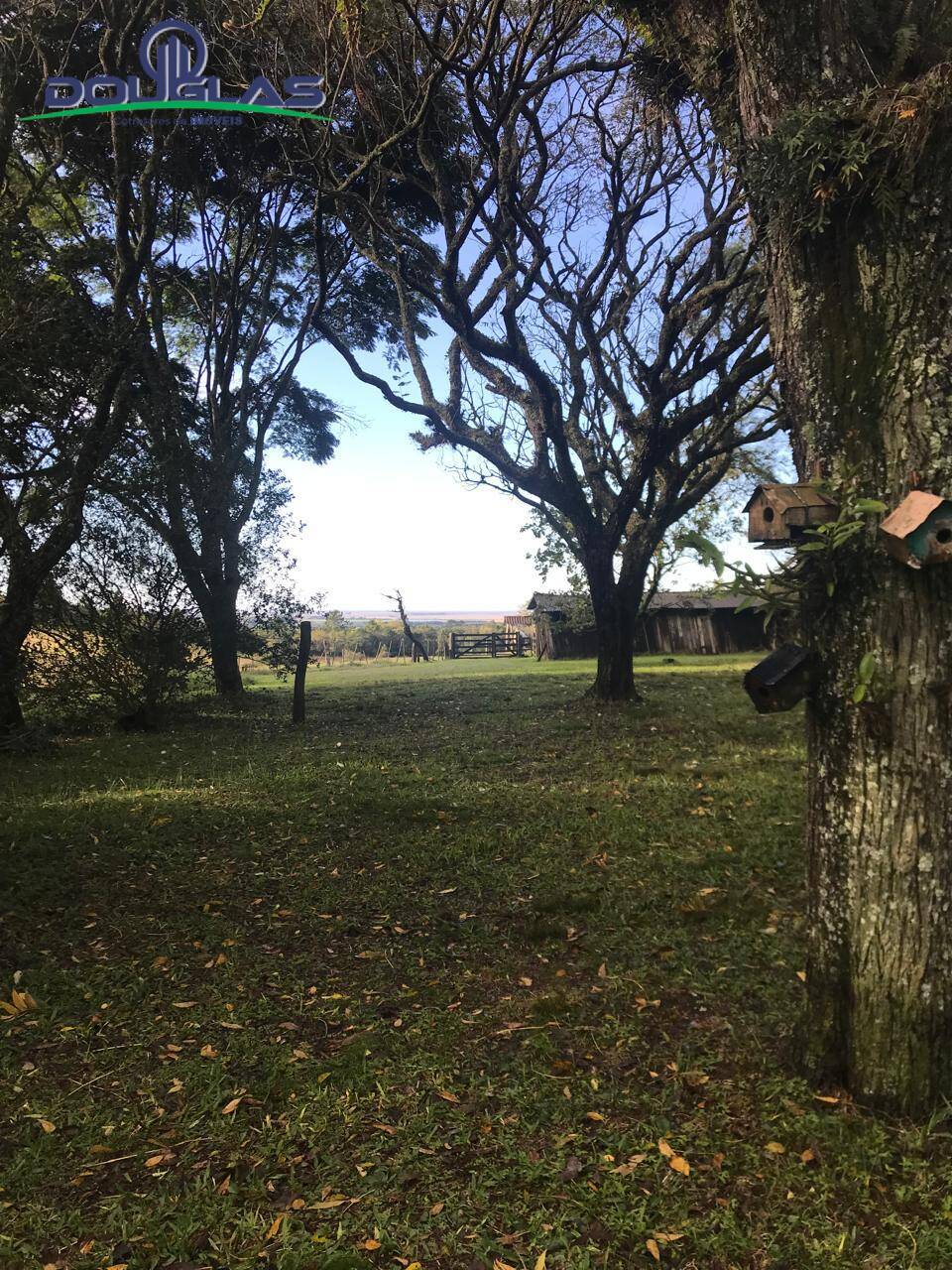 Sítio, 3 quartos - Foto 16