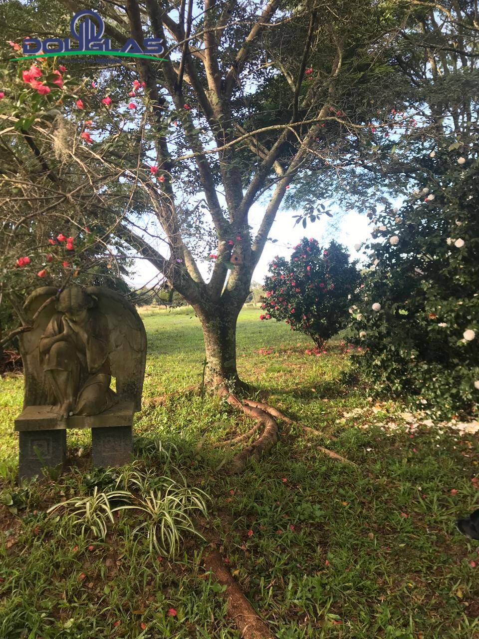 Sítio, 3 quartos - Foto 14