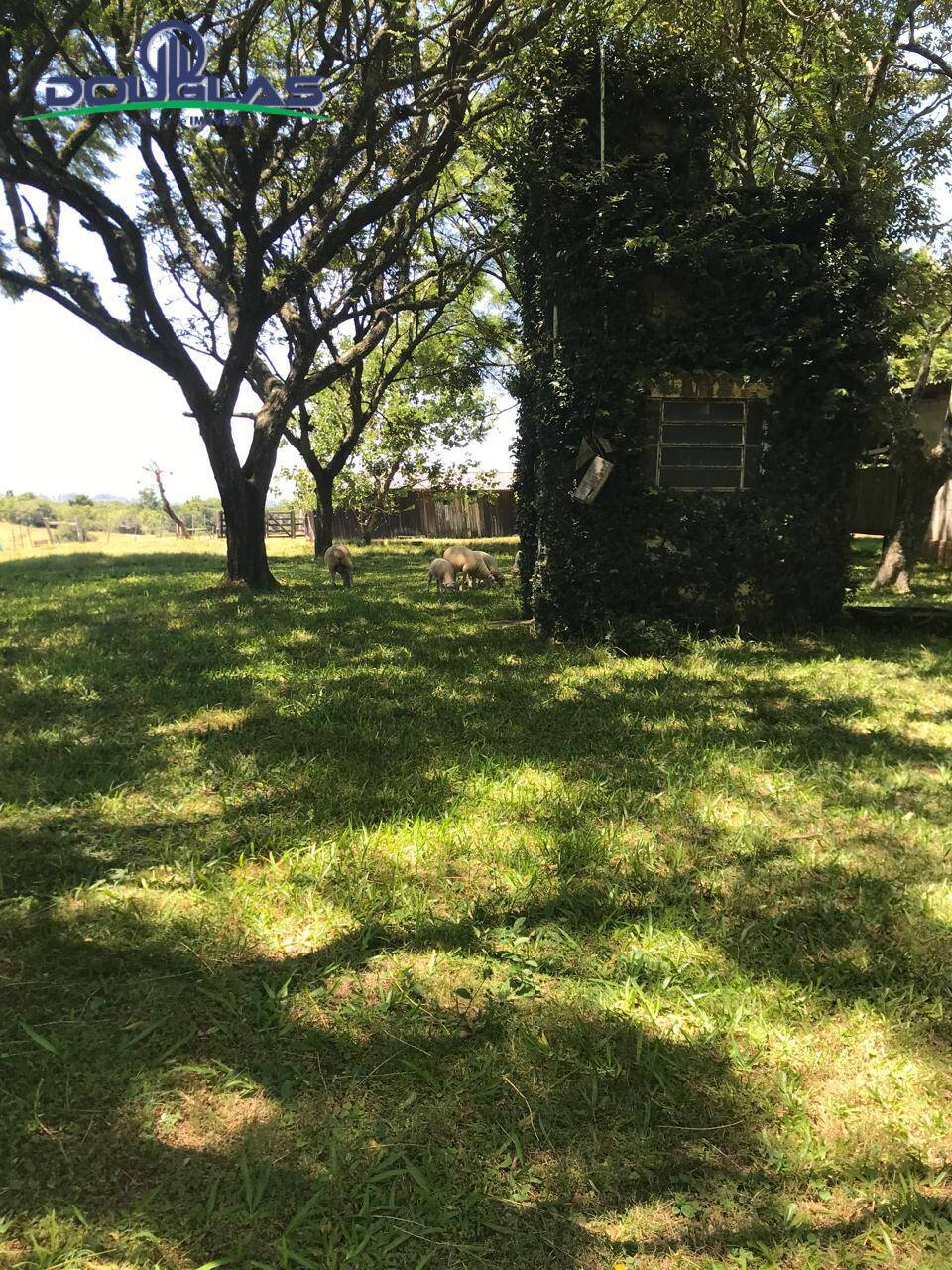 Sítio, 3 quartos - Foto 10