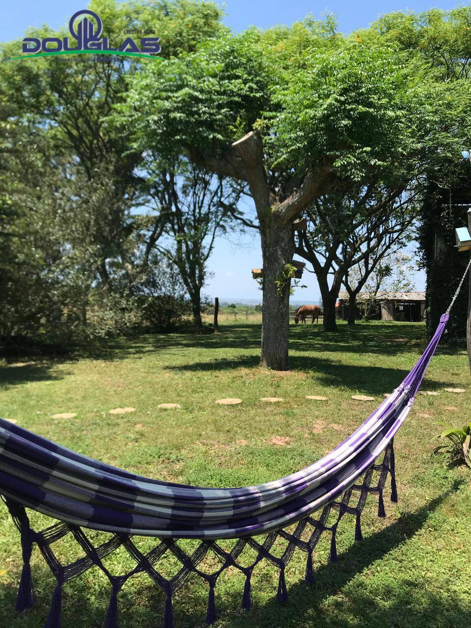 Sítio, 3 quartos - Foto 12