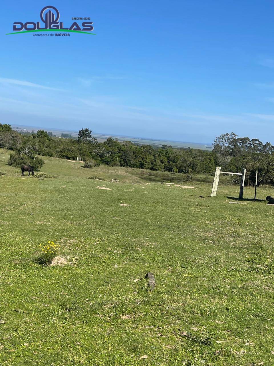 Sítio, 3 quartos - Foto 20