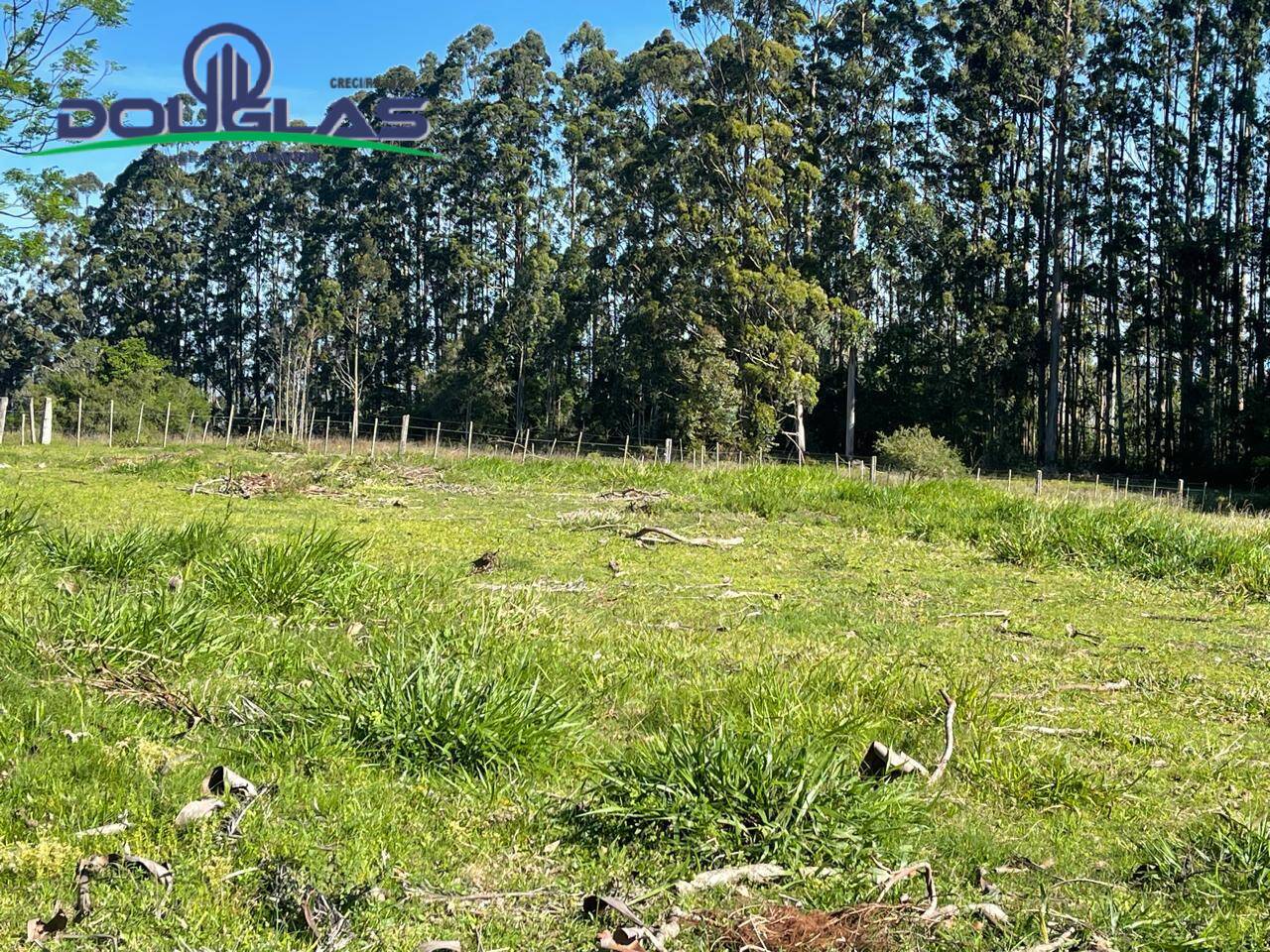 Sítio, 3 quartos - Foto 24