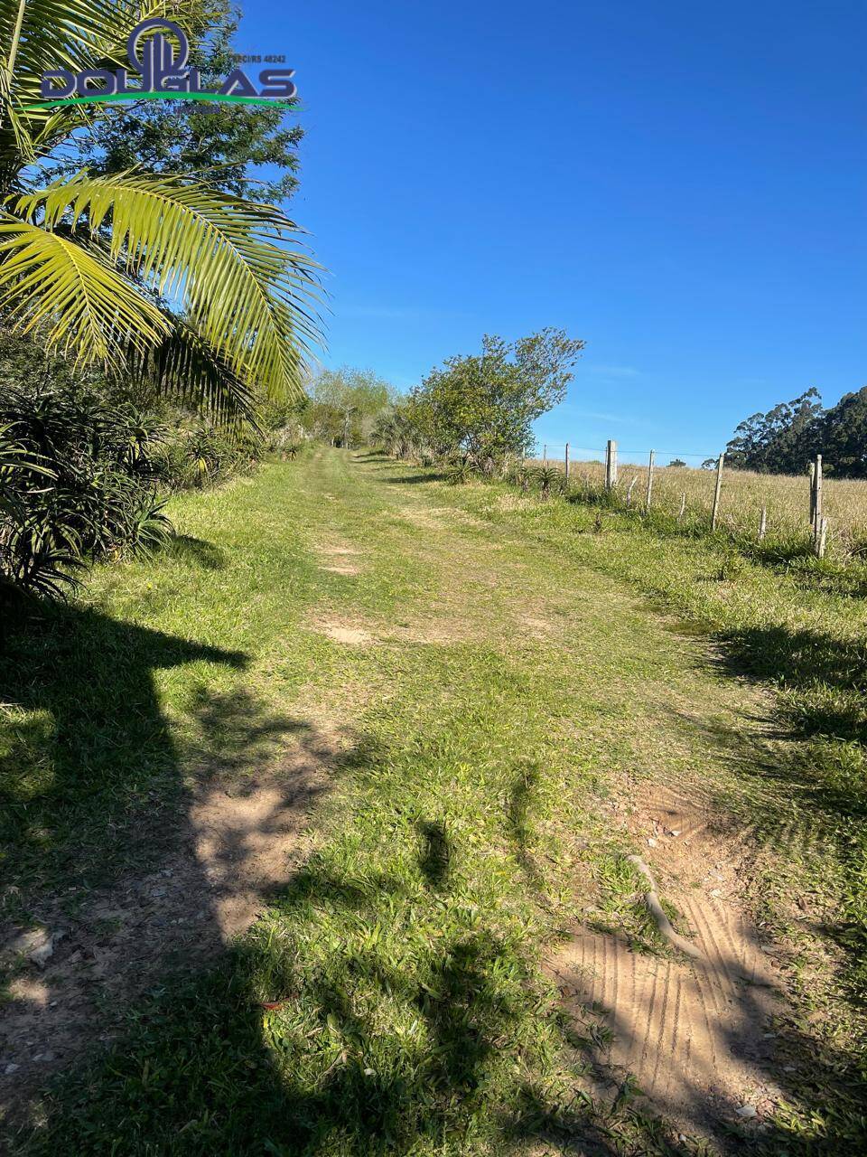 Sítio, 3 quartos - Foto 25