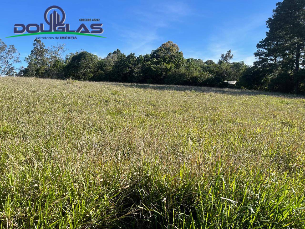 Sítio, 3 quartos - Foto 26