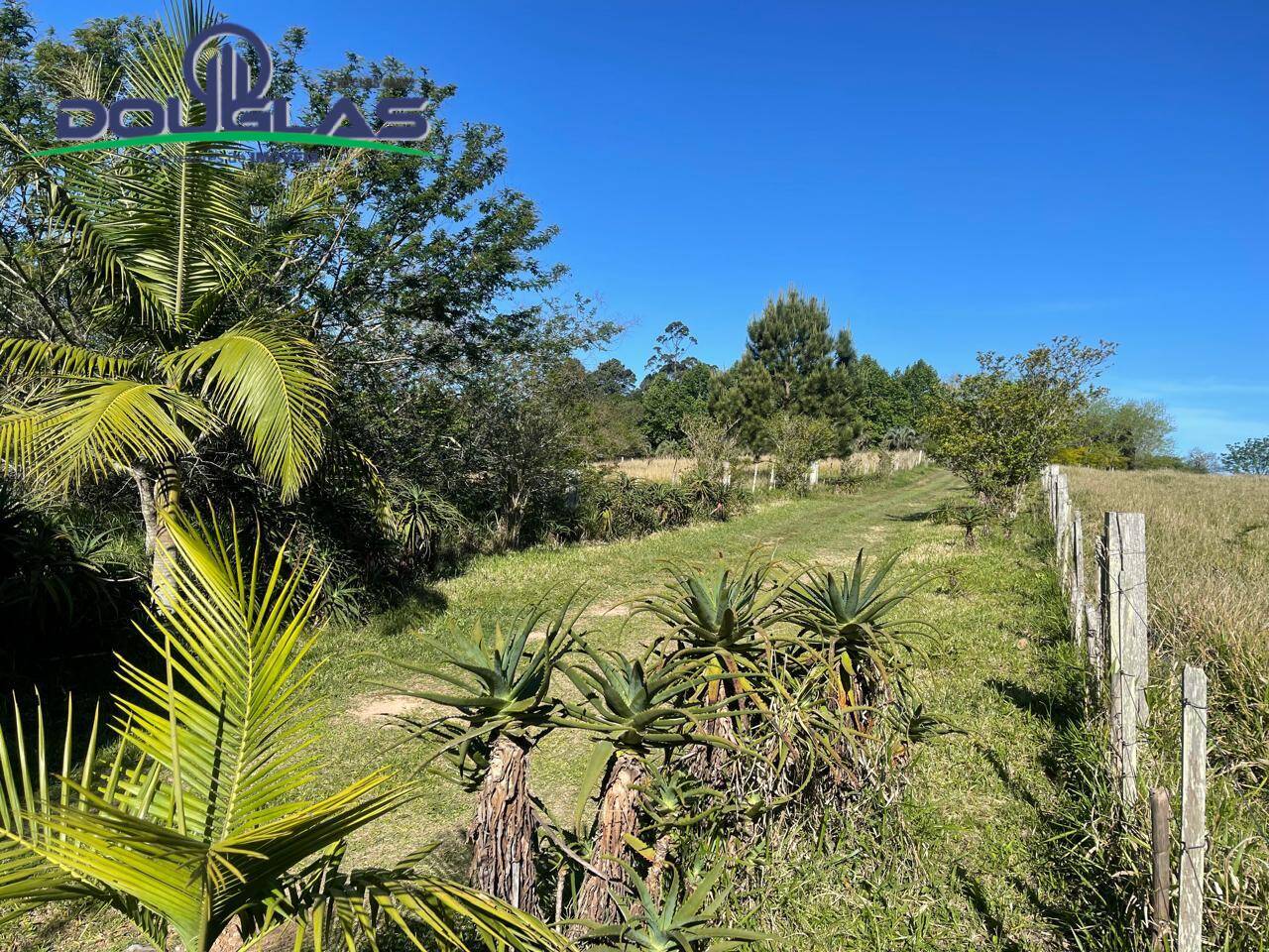 Sítio, 3 quartos - Foto 29