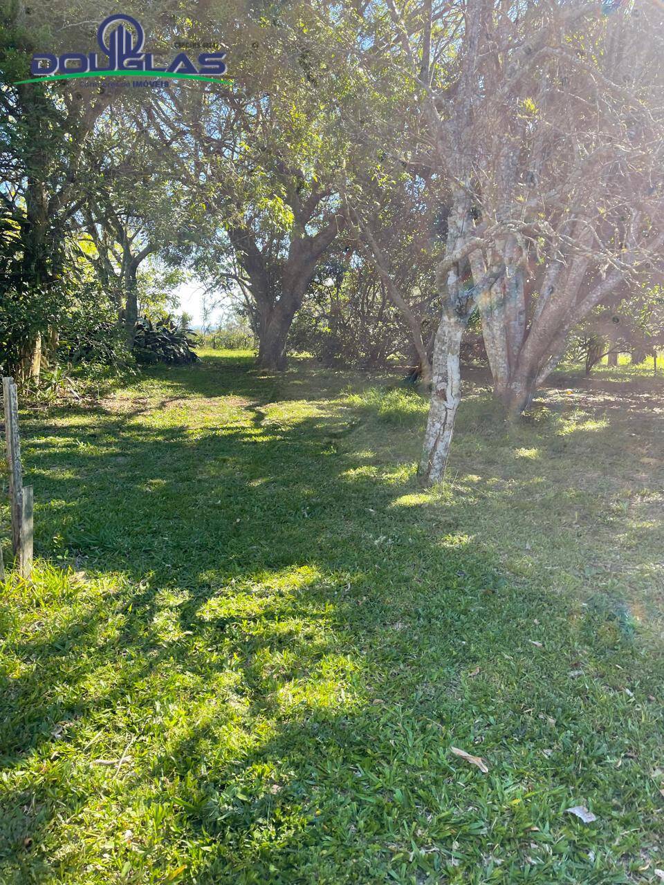 Sítio, 3 quartos - Foto 30